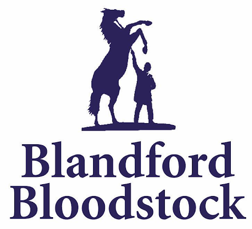 Blandford Bloodstock Logo